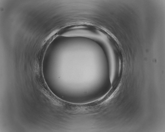 X0000080710969200612151130