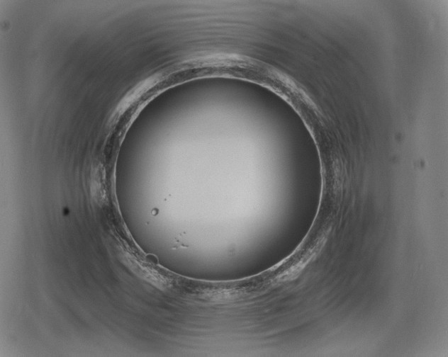 X0000080710970200612151130