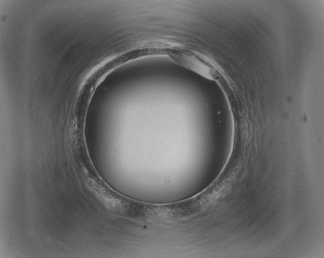 X0000080710971200612151130