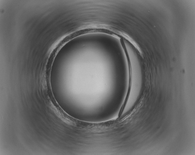 X0000080710972200612151130