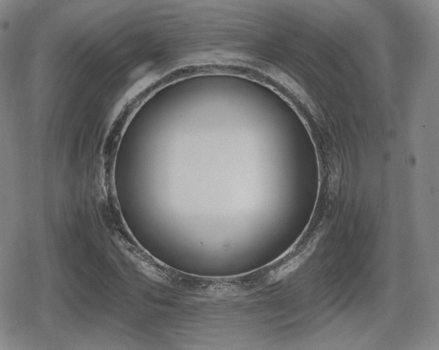 X0000080710974200612151129