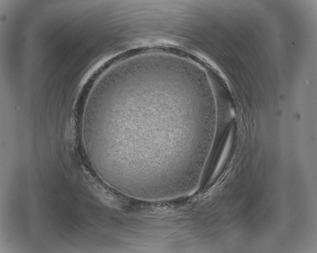 X0000080710975200612151129