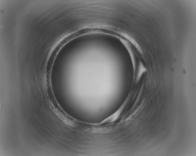 X0000080710976200612151129