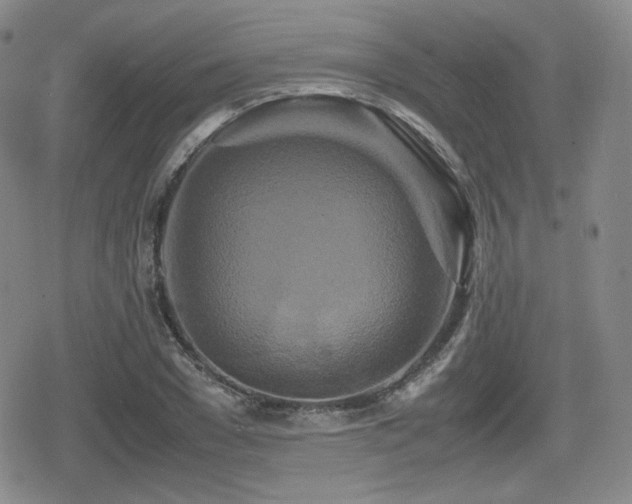 X0000080710977200612151129