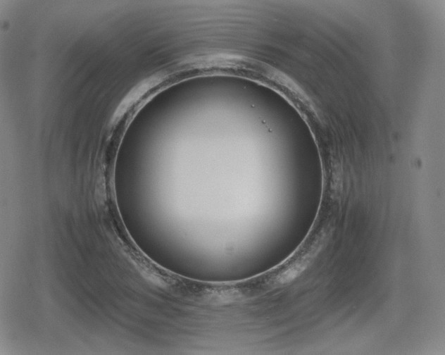 X0000080710978200612151129