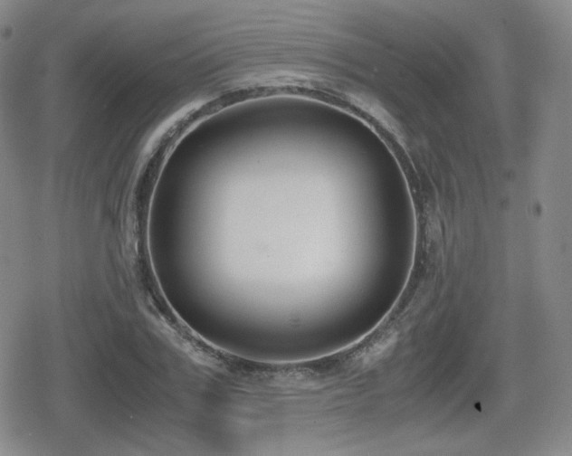 X0000080710979200612151129