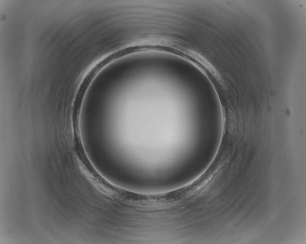 X0000080710980200612151129