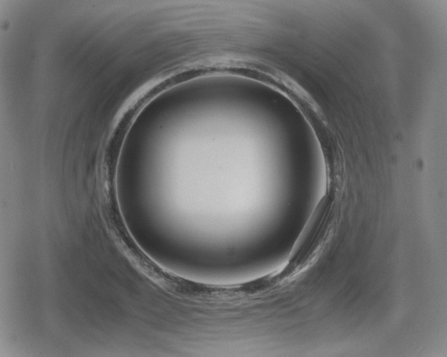 X0000080710981200612151129