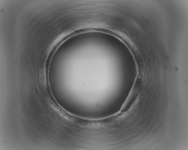 X0000080710982200612151129