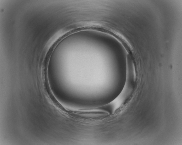 X0000080710983200612151129