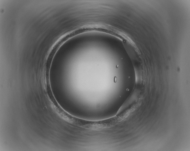 X0000080710984200612151129