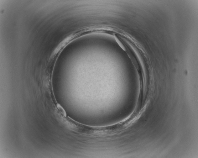 X0000080710985200612151129