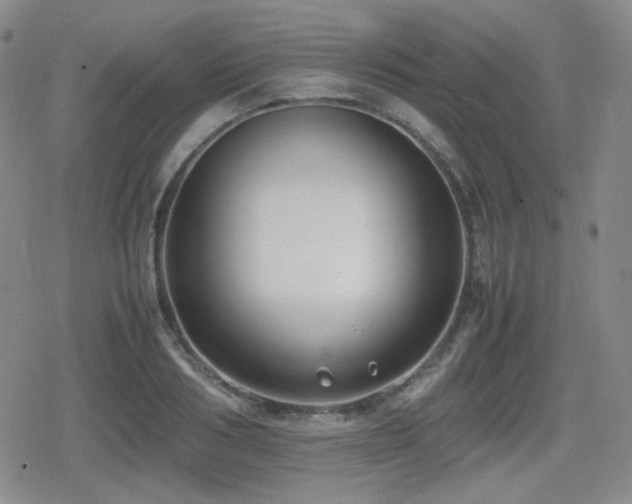 X0000080710986200612151129