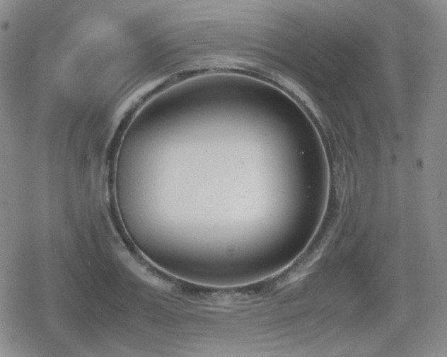 X0000080710987200612151129