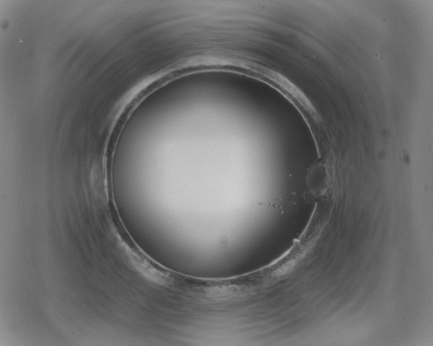 X0000080710988200612151129