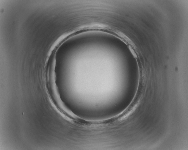 X0000080710989200612151129