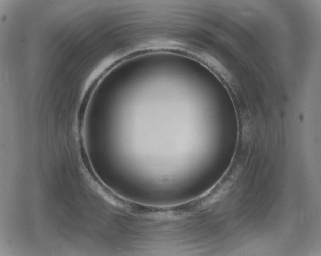 X0000080710990200612151129