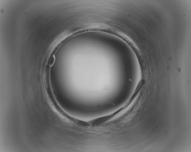 X0000080710991200612151129