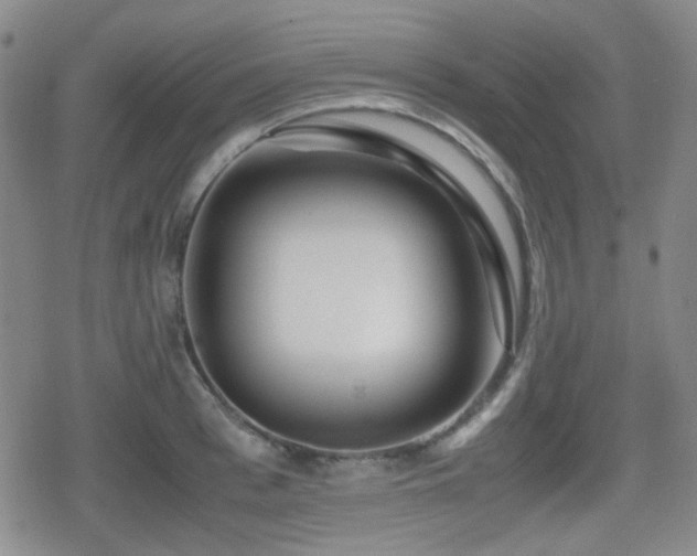 X0000080710993200612151129