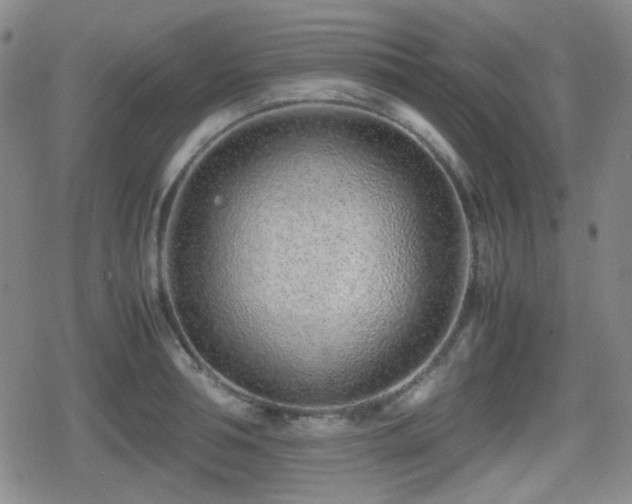 X0000080710994200612151129