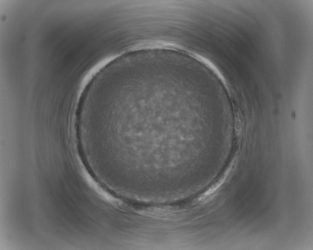 X0000080710995200612151129