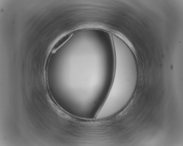 X0000080710996200612151129