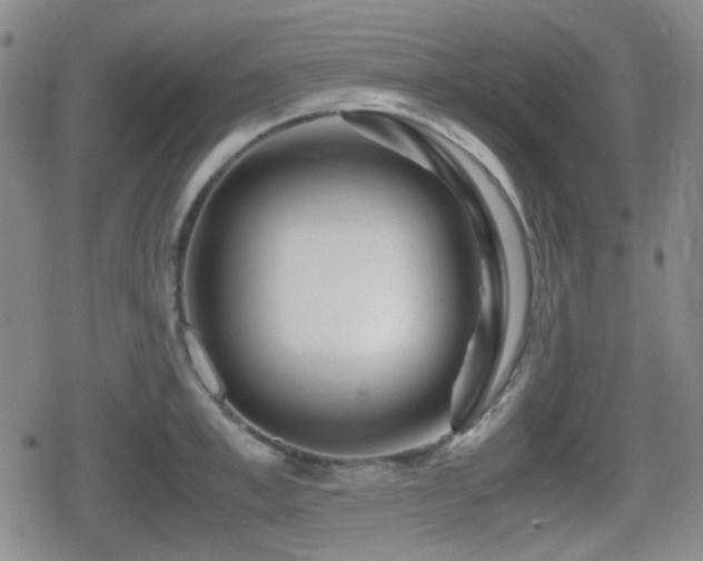 X0000080710997200612151129