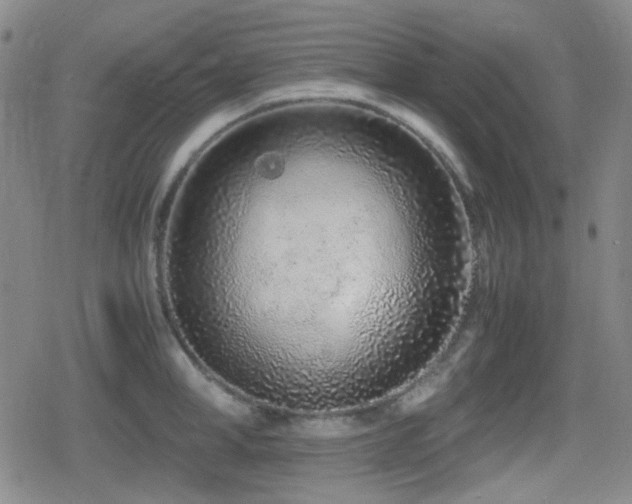 X0000080710998200612151129