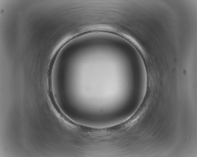 X0000080710999200612151129