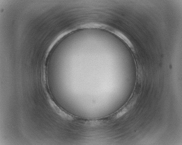 X0000080711000200612151129