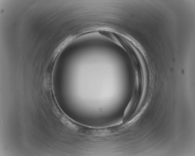 X0000080711001200612151129