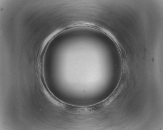 X0000080711003200612151129