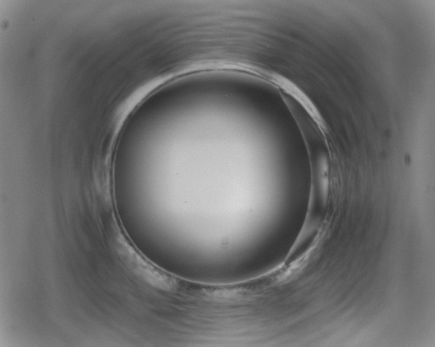 X0000080711004200612151129