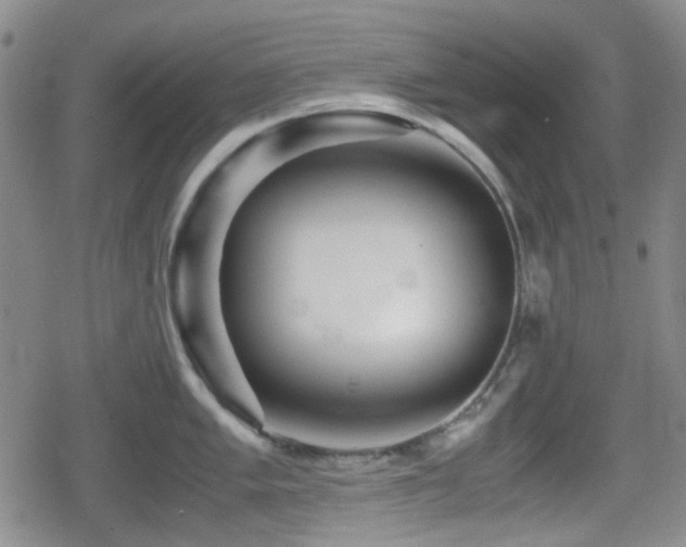 X0000080711005200612151129