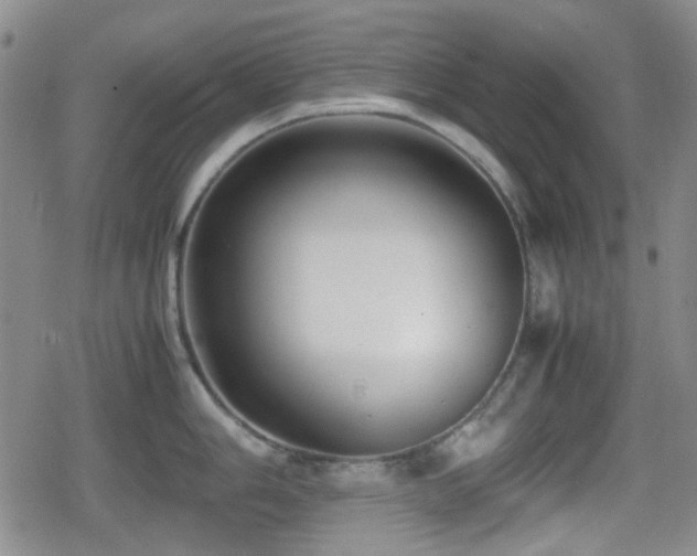 X0000080711006200612151129