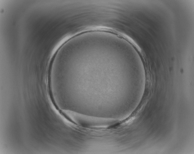 X0000080711007200612151129