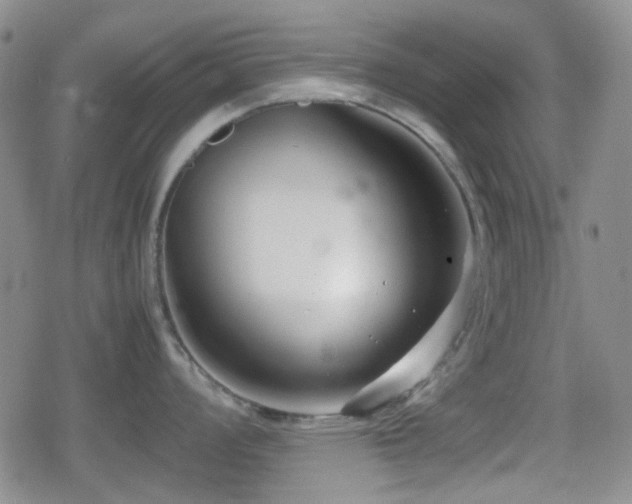 X0000080711008200612151129