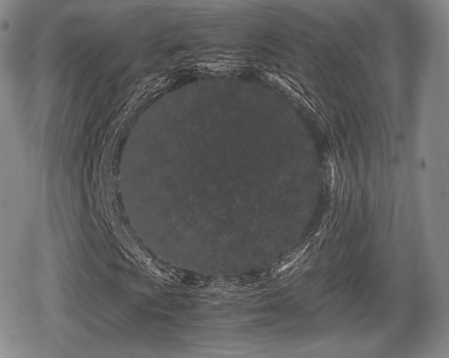 X0000080711009200612151128