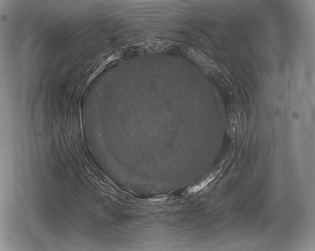 X0000080711010200612151128