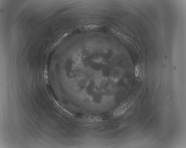 X0000080711011200612151128