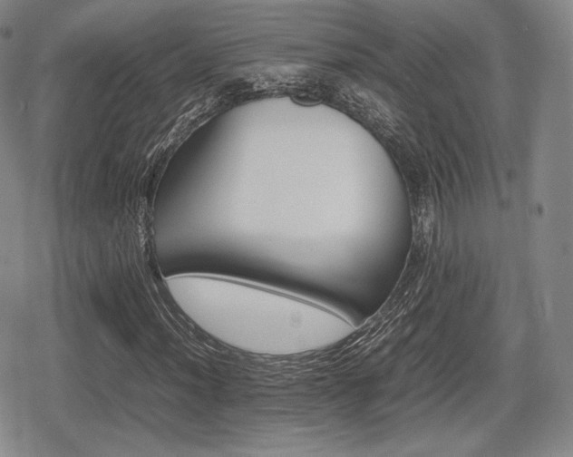 X0000080711012200612151128