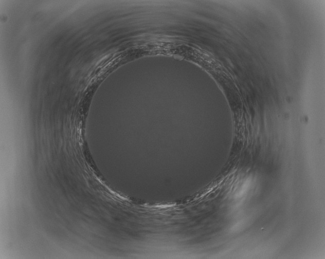 X0000080711013200612151128