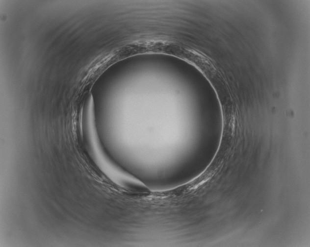 X0000080711014200612151128