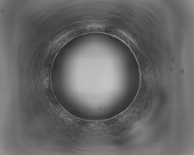 X0000080711015200612151128