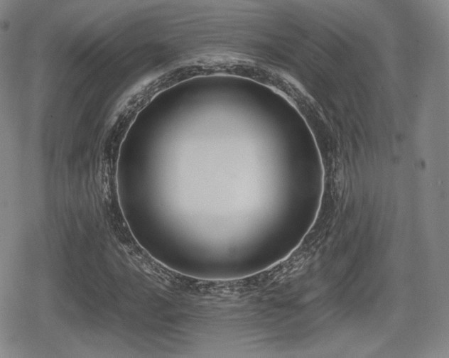 X0000080711016200612151128