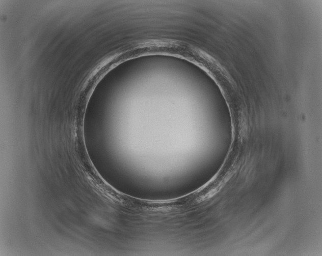 X0000080711017200612151128