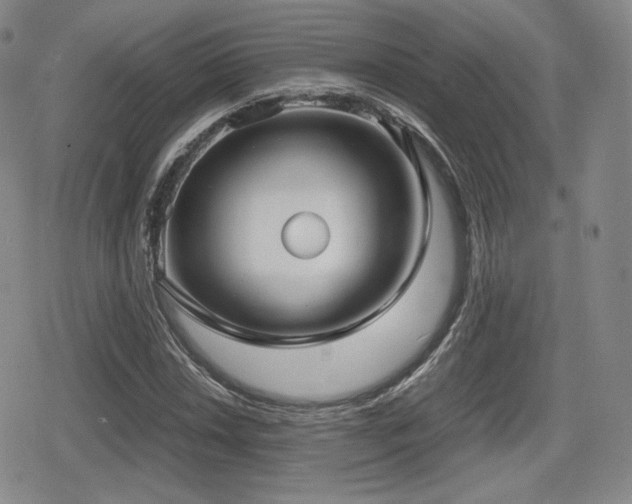 X0000080711018200612151128