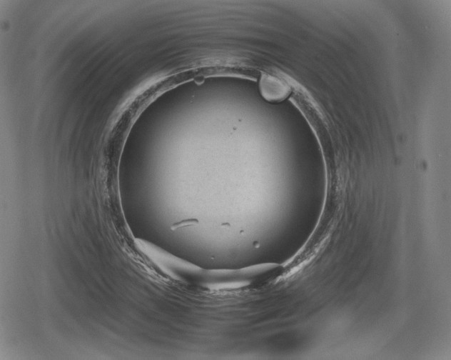 X0000080711019200612151128