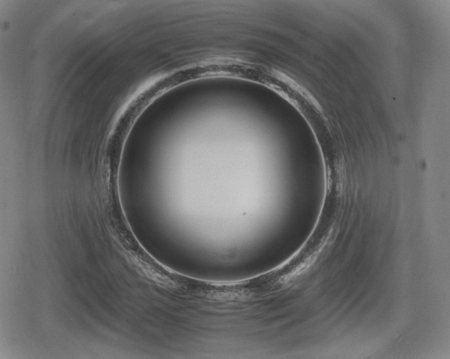 X0000080711021200612151128