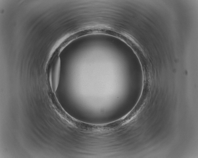 X0000080711022200612151128